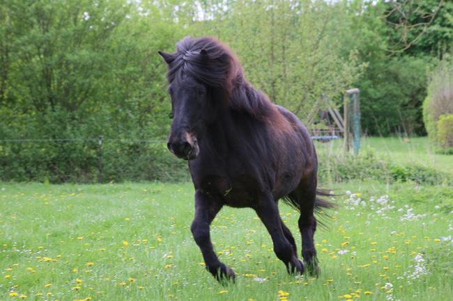 ©2018  by Heike Kaspar