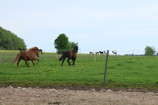 ©2018  by Heike Kaspar