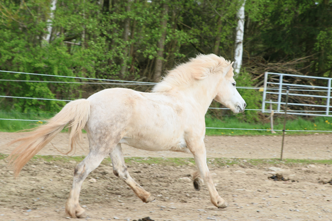 ©2018  by Heike Kaspar