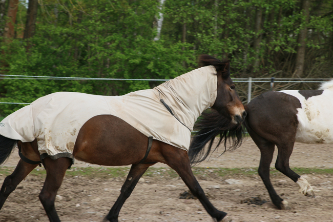 ©2018  by Heike Kaspar