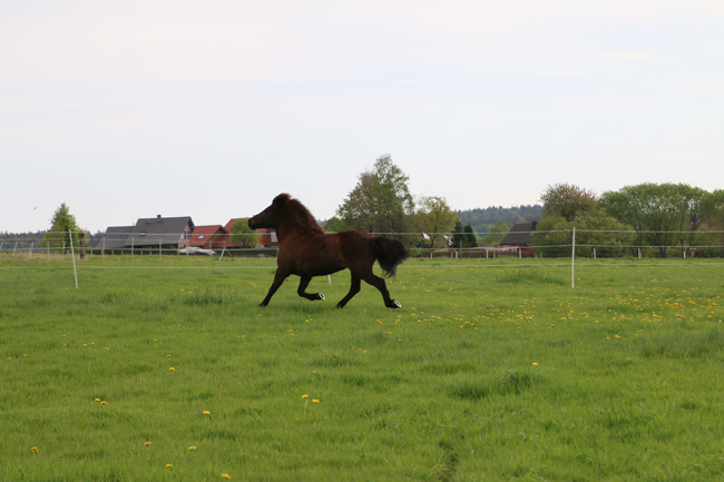 ©2018  by Heike Kaspar