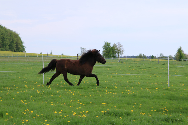 ©2018  by Heike Kaspar