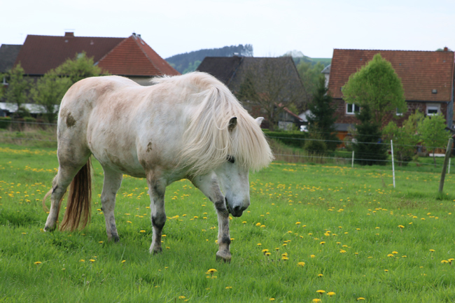 ©2018  by Heike Kaspar