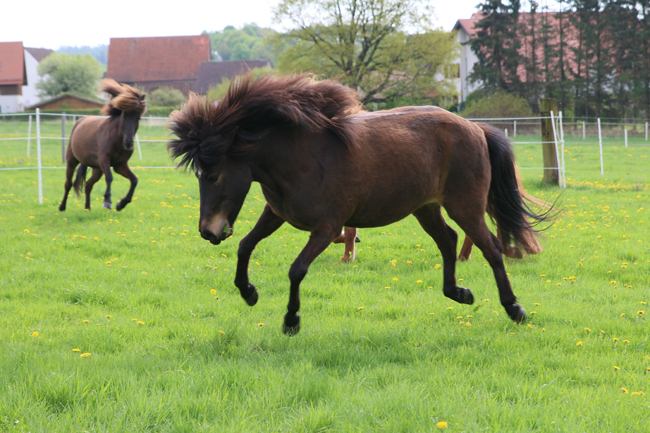 ©2018  by Heike Kaspar