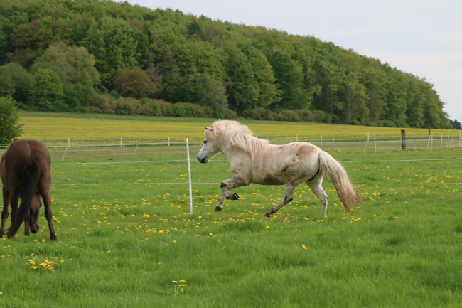 ©2018  by Heike Kaspar