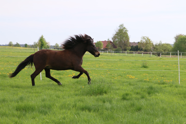 ©2018  by Heike Kaspar