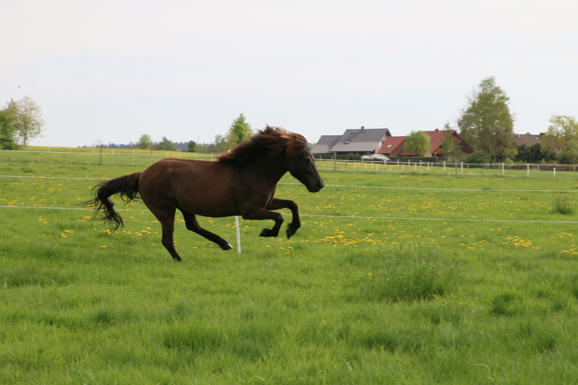 ©2018  by Heike Kaspar