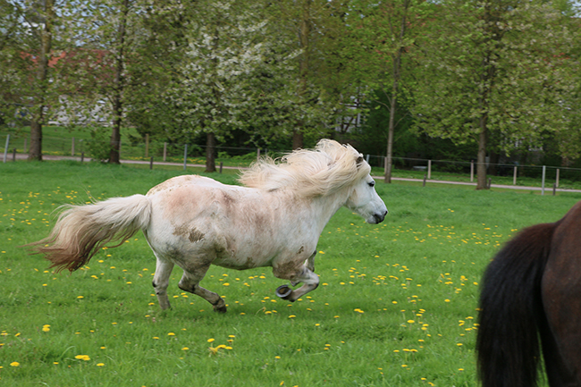 ©2018  by Heike Kaspar