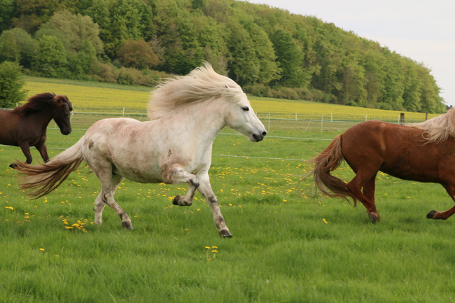 ©2018  by Heike Kaspar