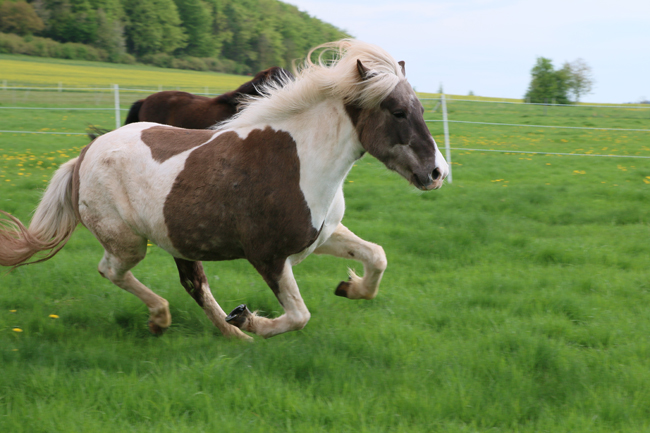 ©2018  by Heike Kaspar