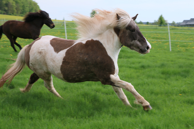 ©2018  by Heike Kaspar
