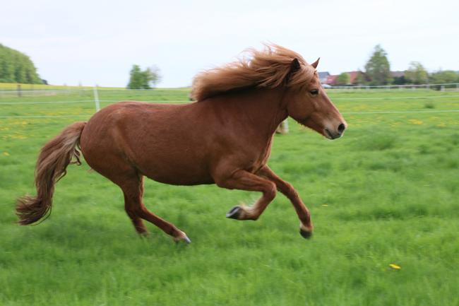 ©2018  by Heike Kaspar
