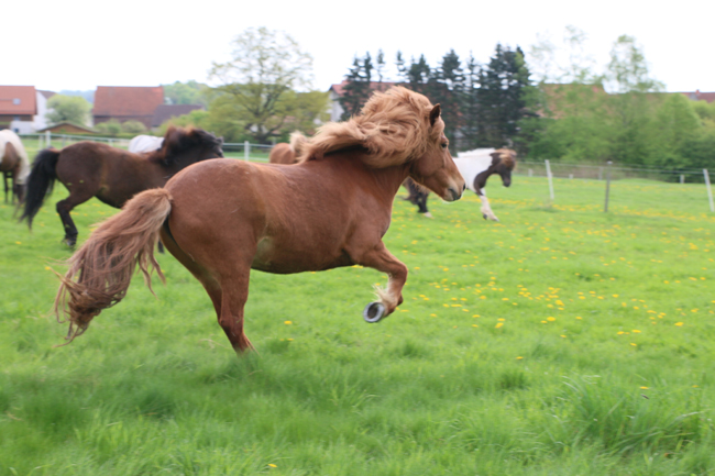 ©2018  by Heike Kaspar