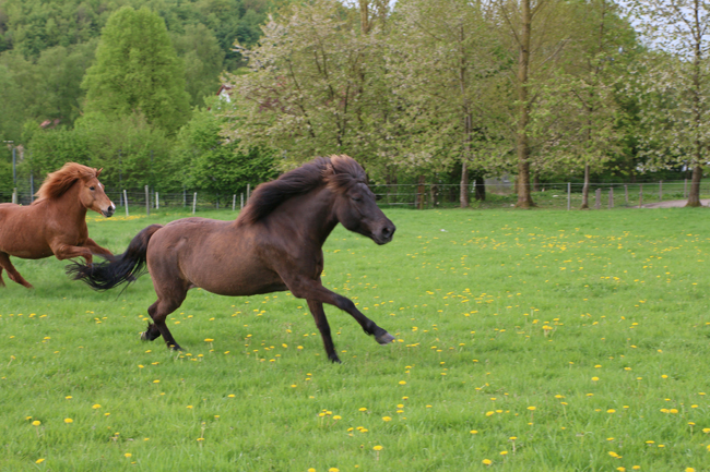 ©2018  by Heike Kaspar