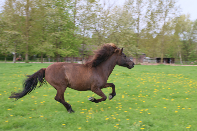 ©2018  by Heike Kaspar