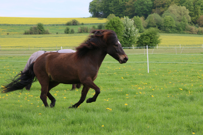 ©2018  by Heike Kaspar