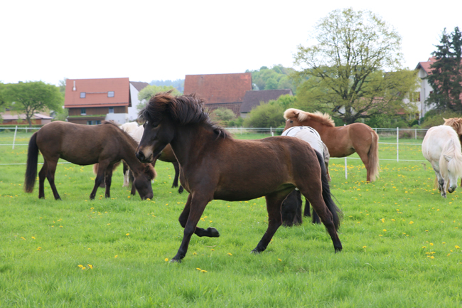 ©2018  by Heike Kaspar