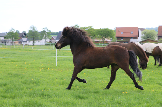 ©2018  by Heike Kaspar