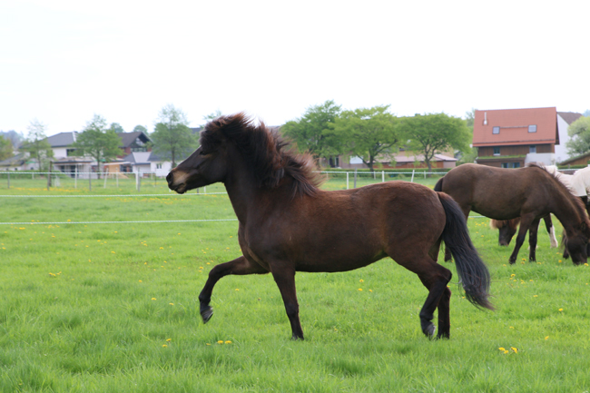 ©2018  by Heike Kaspar