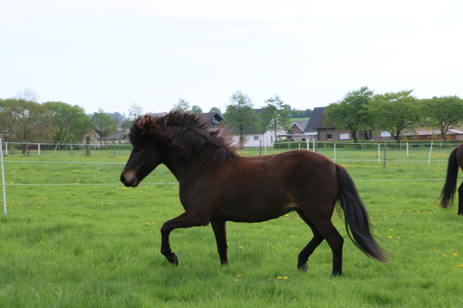 ©2018  by Heike Kaspar