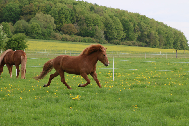©2018  by Heike Kaspar