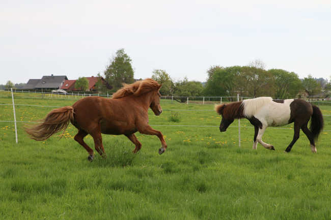 ©2018  by Heike Kaspar