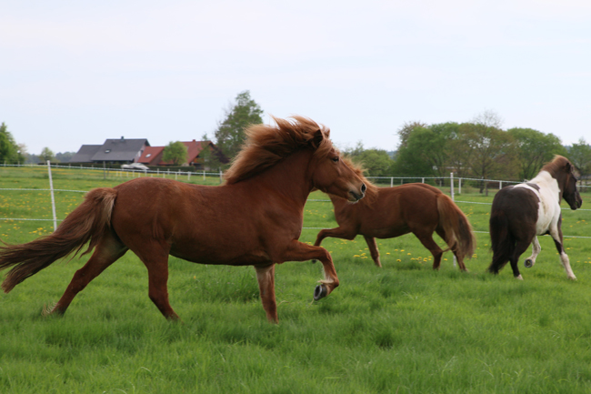 ©2018  by Heike Kaspar