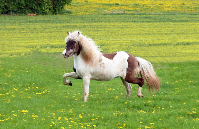 ©2018  by Heike Kaspar