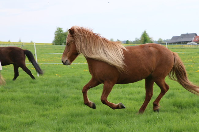 ©2018  by Heike Kaspar