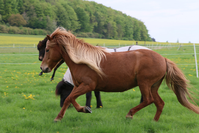 ©2018  by Heike Kaspar