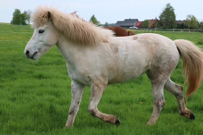 ©2018  by Heike Kaspar