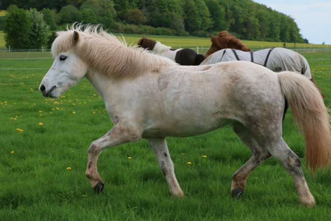 ©2018  by Heike Kaspar