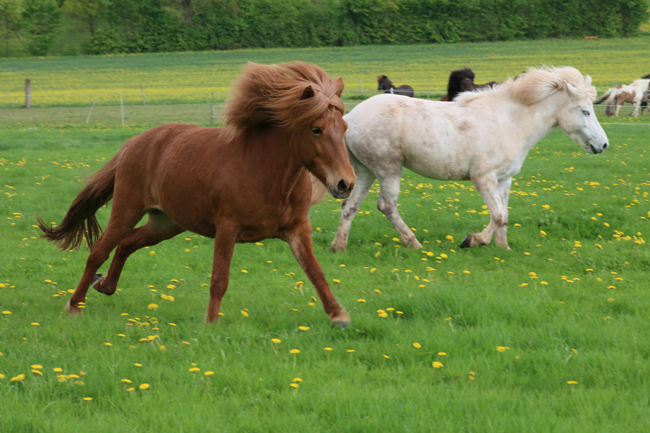 ©2018  by Heike Kaspar
