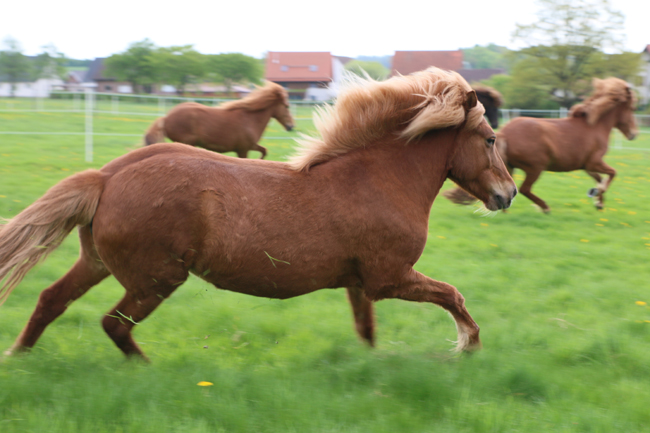 ©2018  by Heike Kaspar