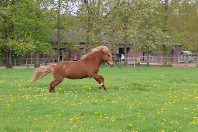 ©2018  by Heike Kaspar