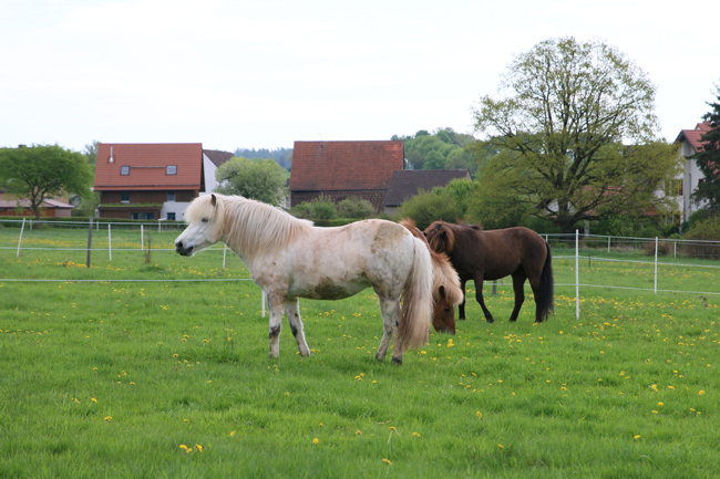 ©2018  by Heike Kaspar