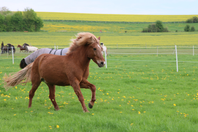 ©2018  by Heike Kaspar