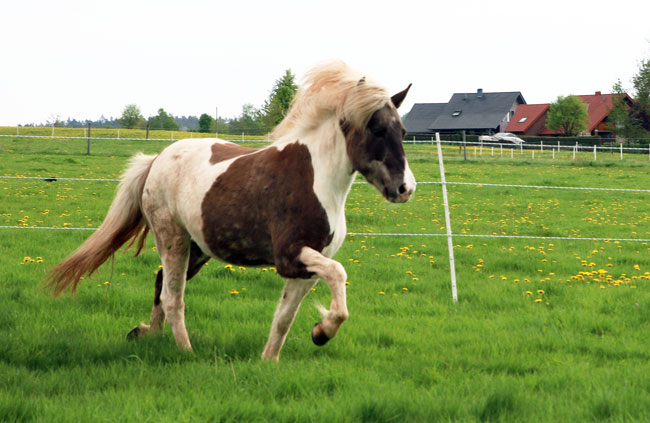 ©2018  by Heike Kaspar