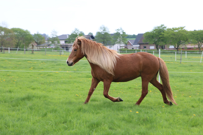 ©2018  by Heike Kaspar