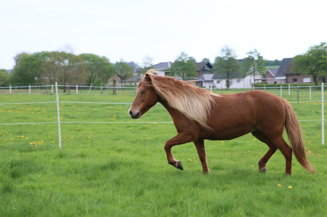 ©2018  by Heike Kaspar