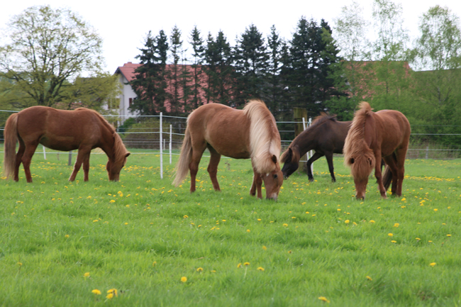 ©2018  by Heike Kaspar