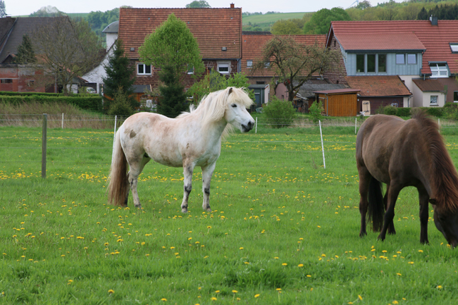 ©2018  by Heike Kaspar
