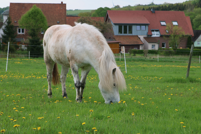 ©2018  by Heike Kaspar
