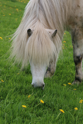 ©2018  by Heike Kaspar