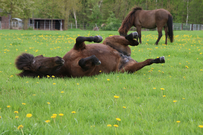 ©2018  by Heike Kaspar