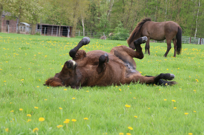 ©2018  by Heike Kaspar