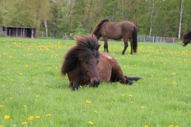 ©2018  by Heike Kaspar
