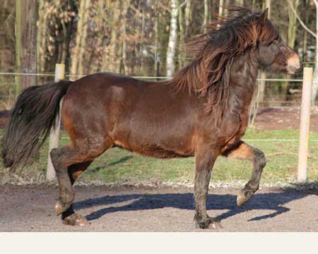 BALTHASAR VOM GLOCKENHOF