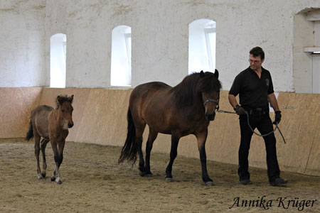 ©2016 by Annika Krüger