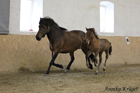 ©2016 by Annika Krüger